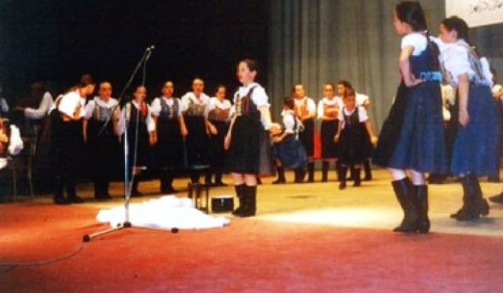 39. fotografia fotogalérie Kultúrny život  v obci Víťaz - foto