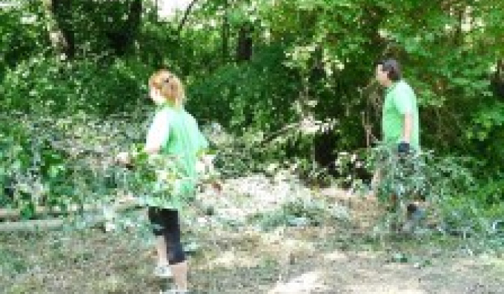 64. fotografia fotogalérie Vstupná brána do Oddychového centra Slaná voda - foto