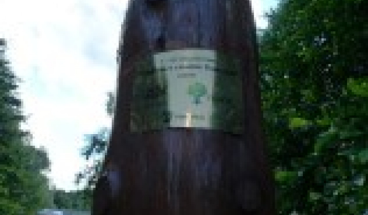 93. fotografia fotogalérie Vstupná brána do Oddychového centra Slaná voda - foto