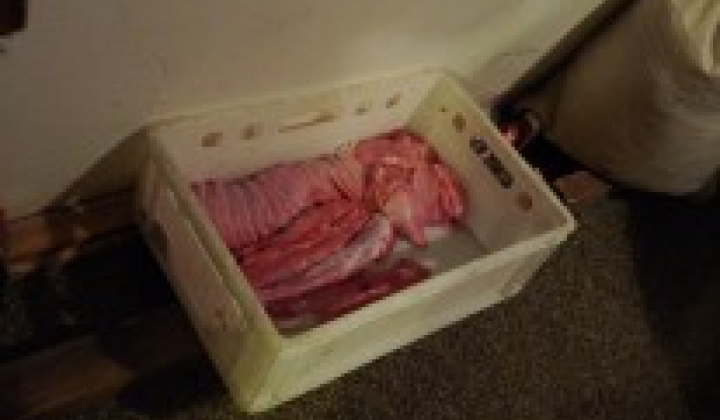 7. fotografia fotogalérie Fašiangová zabíjačka v obci Víťaz 2018 - foto