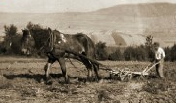 13. fotografia fotogalérie Obec Víťaz na starých fotografiách - foto