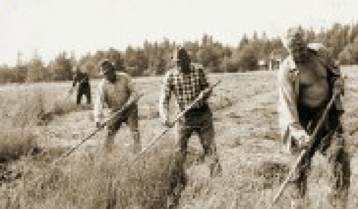 14. fotografia fotogalérie Obec Víťaz na starých fotografiách - foto