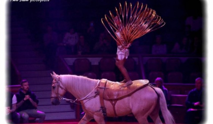 4. fotografia fotogalérie Pozvánka- Cirkus Biasini JOO! - foto