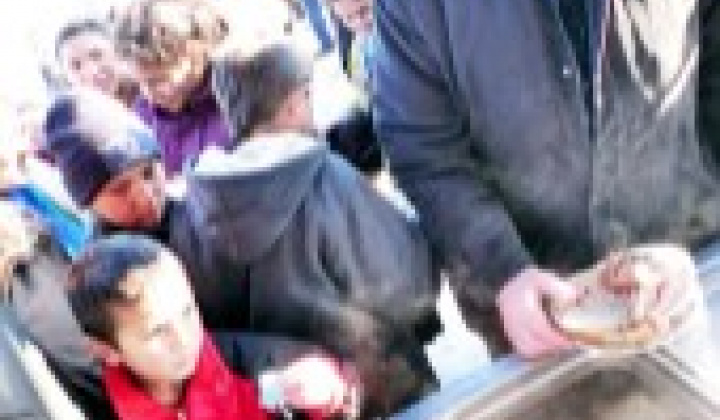 20. fotografia fotogalérie Obecná zabíjačka – prvý ročník - foto