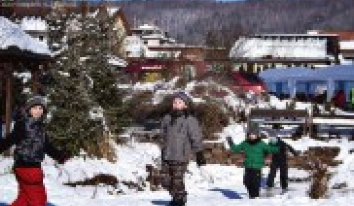 40. fotografia fotogalérie Obecná zabíjačka – prvý ročník - foto