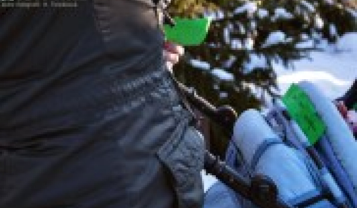 84. fotografia fotogalérie Obecná zabíjačka – prvý ročník - foto