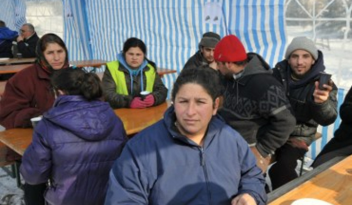 109. fotografia fotogalérie Obecná zabíjačka – prvý ročník - foto