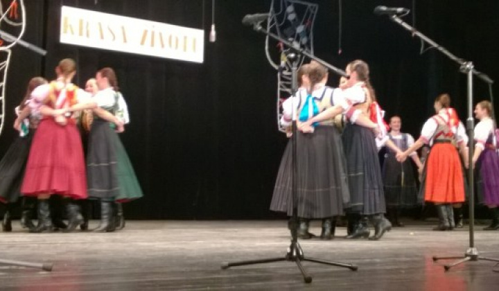 5. fotografia fotogalérie PRIDAŇ –  SKVELÝ NÁVRAT OPÄŤ NA SCÉNU PO 23 ROKOCH, KRÁSA ŽIVOTU 2015 - foto