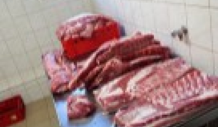 12. fotografia fotogalérie Fašiangová zabíjačka v našej obci Víťaz – Veľká fotogaléria - foto