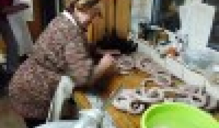 16. fotografia fotogalérie Fašiangová zabíjačka v našej obci Víťaz – Veľká fotogaléria - foto