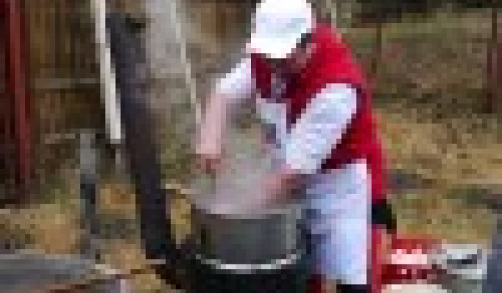 36. fotografia fotogalérie Fašiangová zabíjačka v našej obci Víťaz – Veľká fotogaléria - foto