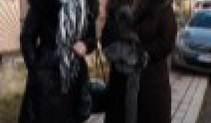 112. fotografia fotogalérie Fašiangová zabíjačka v našej obci Víťaz – Veľká fotogaléria - foto