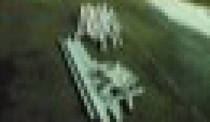 125. fotografia fotogalérie Fašiangová zabíjačka v našej obci Víťaz – Veľká fotogaléria - foto