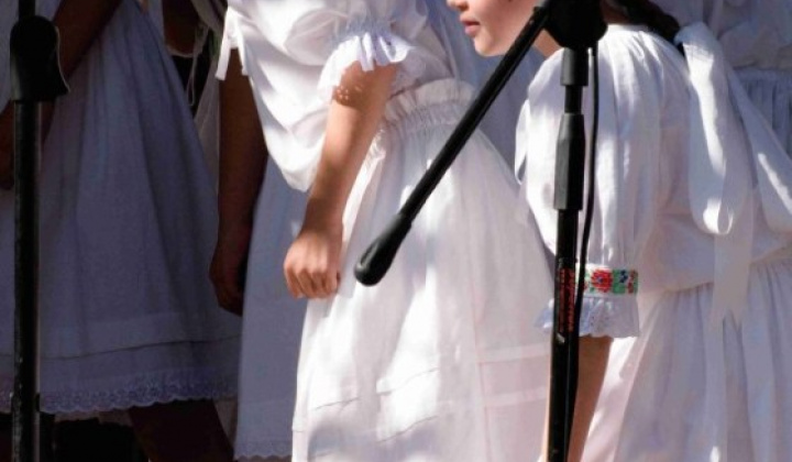 18. fotografia fotogalérie 11. ročník Víťazského festivalu  Slaná voda  6. – 7.8.2016 - foto