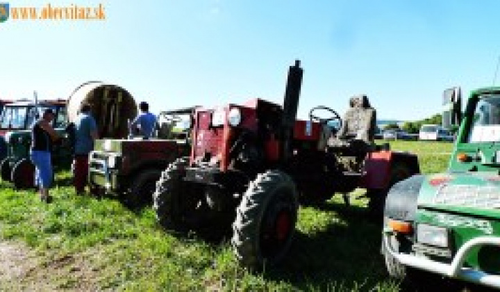 110. fotografia fotogalérie 11. ročník Víťazského festivalu  Slaná voda  6. – 7.8.2016 - foto