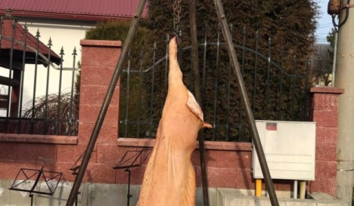 41. fotografia fotogalérie Fašiangová zabíjačka - foto