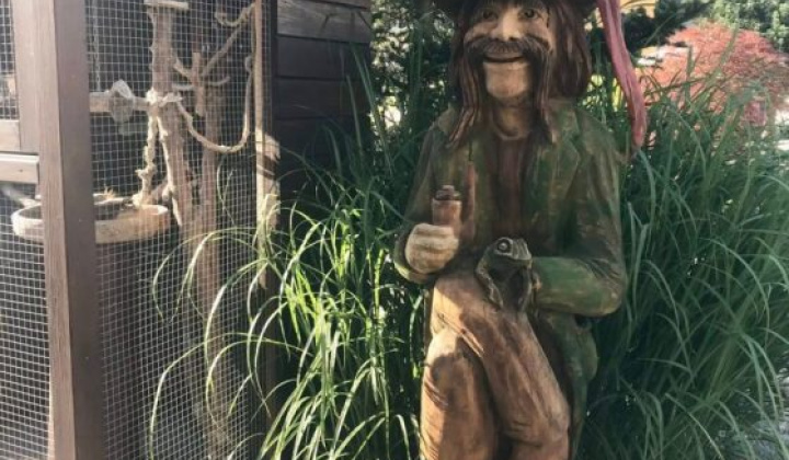 17. fotografia fotogalérie “Deň obce Vítězná 2025” - foto