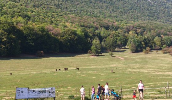 18. fotografia fotogalérie Výlet so seniormi na Muránsku planinu - foto