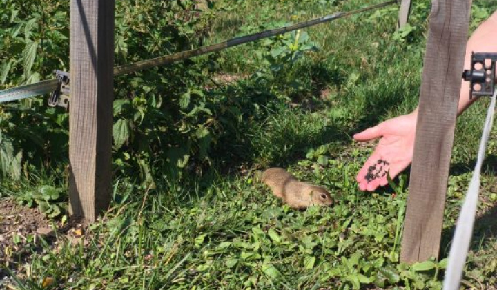 19. fotografia fotogalérie Výlet so seniormi na Muránsku planinu - foto