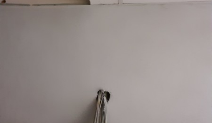 48. fotografia fotogalérie Rekonštrukcia priestorov ZŠ vo Víťaze - foto