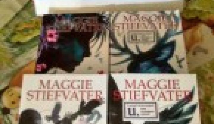 5. fotografia fotogalérie Novinky Obecnej knižnice Víťaz – 24.9.2018 - foto