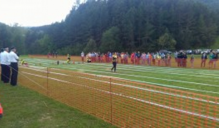 7. fotografia fotogalérie DHZ na okrskovej súťaží v Lipovciach získal zlato - foto