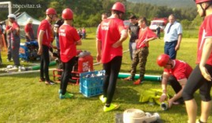 9. fotografia fotogalérie DHZ na okrskovej súťaží v Lipovciach získal zlato - foto