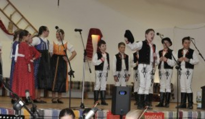 1. fotografia fotogalérie Fašiangové vystúpenie DFS Pridaň a Pridančatá - foto