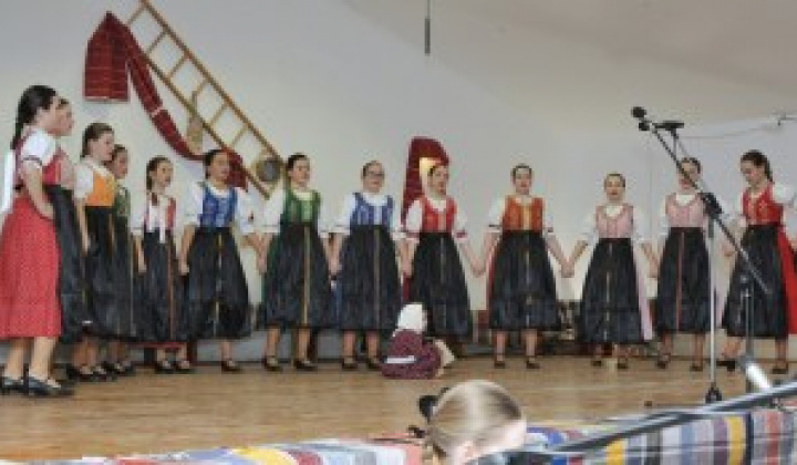 6. fotografia fotogalérie Fašiangové vystúpenie DFS Pridaň a Pridančatá - foto