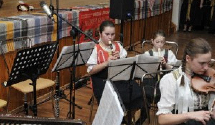 7. fotografia fotogalérie Fašiangové vystúpenie DFS Pridaň a Pridančatá - foto