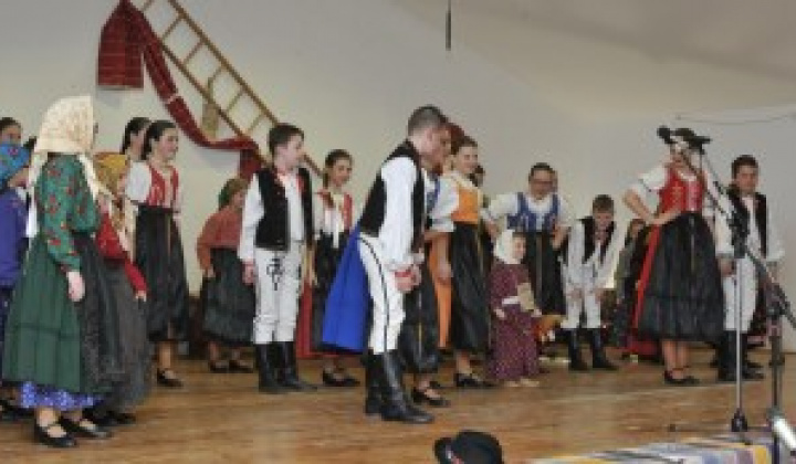 12. fotografia fotogalérie Fašiangové vystúpenie DFS Pridaň a Pridančatá - foto