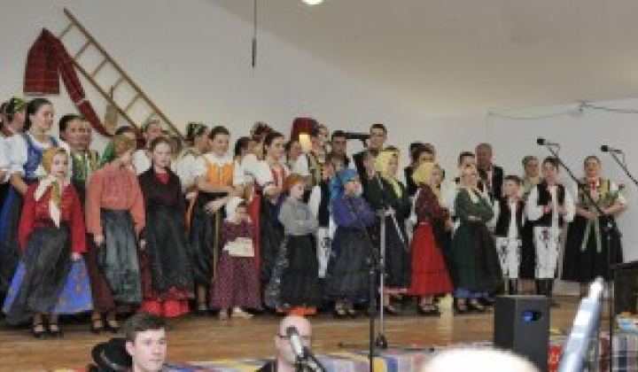 22. fotografia fotogalérie Fašiangové vystúpenie DFS Pridaň a Pridančatá - foto