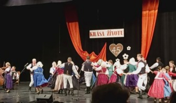 1. fotografia fotogalérie Krása životu 2019 - foto