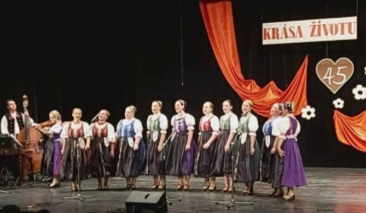 2. fotografia fotogalérie Krása životu 2019 - foto