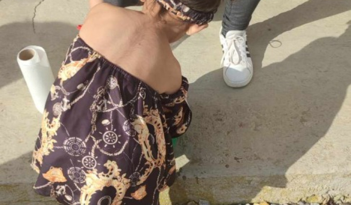 6. fotografia fotogalérie Rozvojový tím v akcii - foto