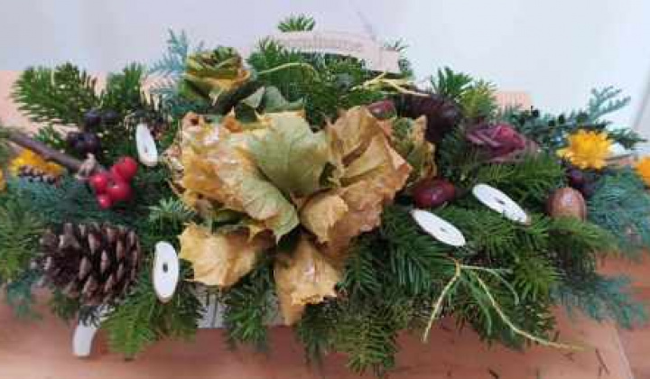 3. fotografia fotogalérie Kávičkovo pre seniorov 4 – 16.10.2024 - foto