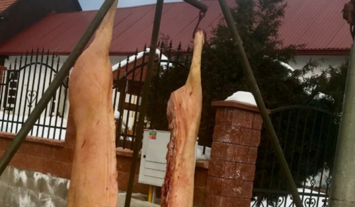 10. fotografia fotogalérie VÁŽENÍ SPOLUOBČANIA VÍŤAZANIA, MILÍ PRIATELIA, - foto