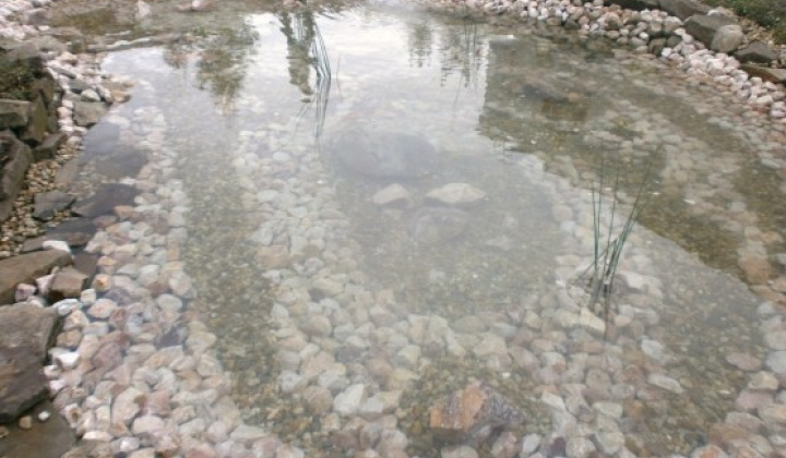 4. fotografia fotogalérie Rekonštrukcia jazierka - foto