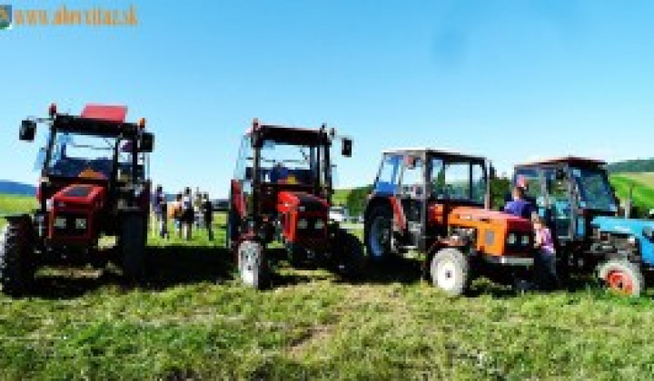 115. fotografia fotogalérie 11. ročník Víťazského festivalu  Slaná voda  6. – 7.8.2016 - foto