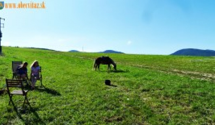 117. fotografia fotogalérie 11. ročník Víťazského festivalu  Slaná voda  6. – 7.8.2016 - foto