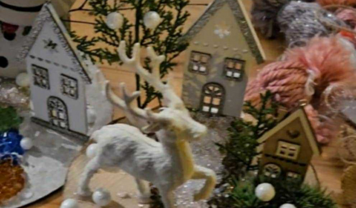 8. fotografia fotogalérie Aktuality / Rozvietenie vianočného stromčeka a vianočná burza  - foto