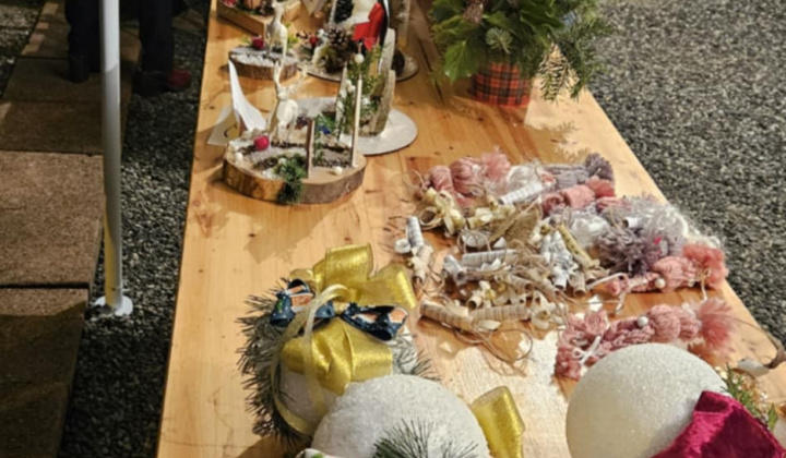 2. fotografia fotogalérie Rozvojový tím v akcii / NP RT I.-Vianočná burza - foto