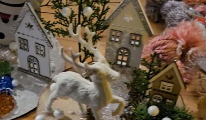 5. fotografia fotogalérie Rozvojový tím v akcii / NP RT I.-Vianočná burza - foto