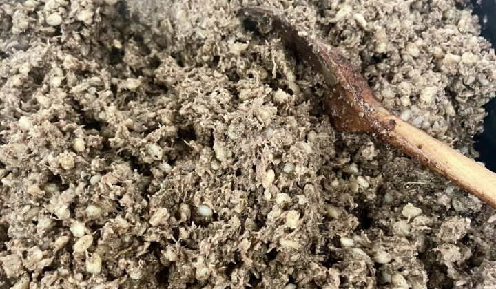 48. fotografia fotogalérie Kultúrne podujatia / Fašiangová zabíjačka-7.2.2026 - foto